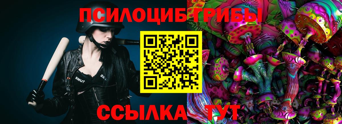 Сарапул  продажа наркотиков  Вход с VPN  Галлюциногенные грибы Cubensis 